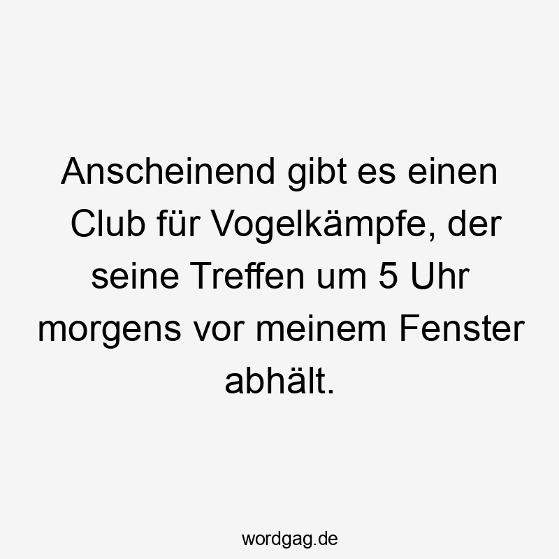 Anscheinend gibt es einen Club für Vogelkämpfe, der seine Treffen um 5 Uhr morgens vor meinem Fenster abhält.
