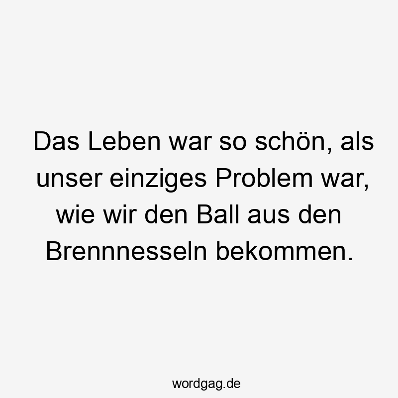 Das Leben war so schön, als unser einziges Problem war, wie wir den Ball aus den Brennnesseln bekommen.