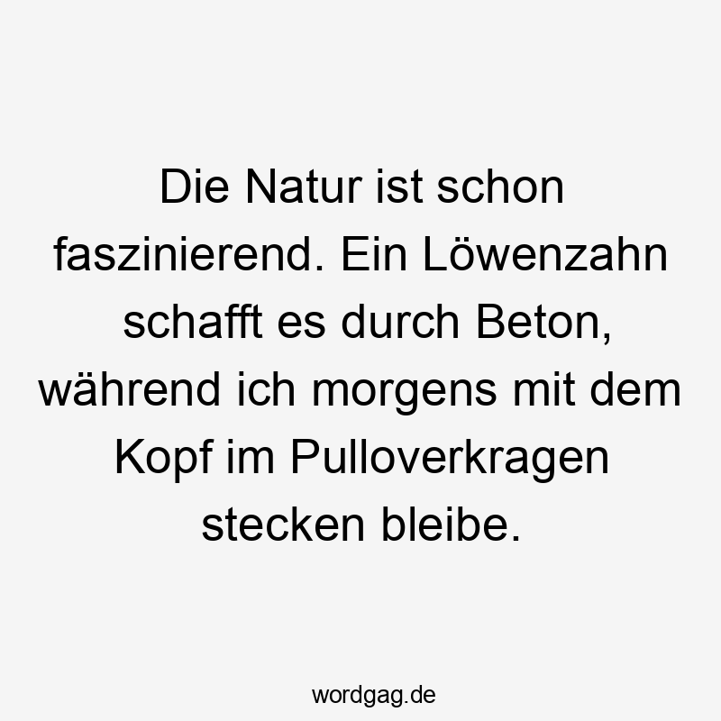 Die Natur ist schon faszinierend. Ein Löwenzahn schafft es durch Beton, während ich morgens mit dem Kopf im Pulloverkragen stecken bleibe.