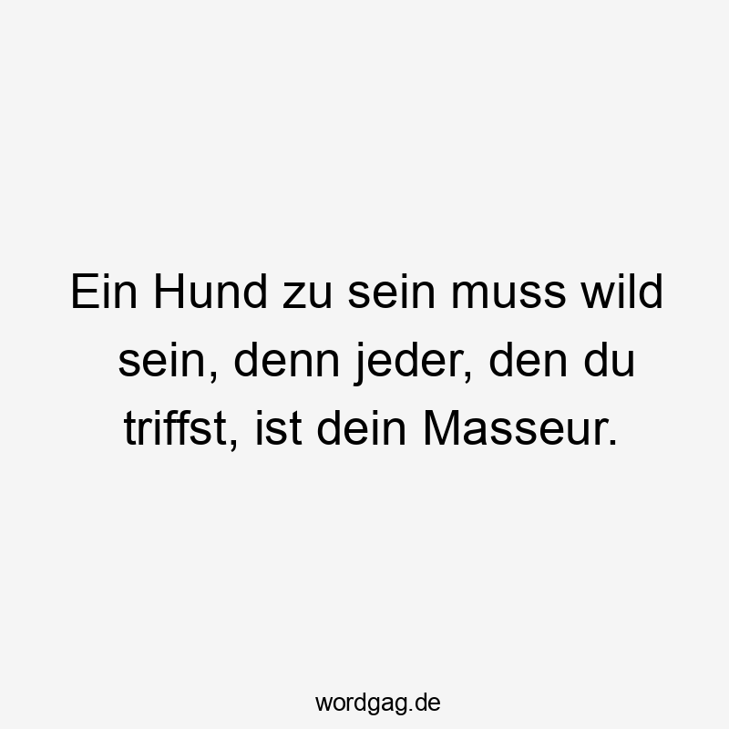 Ein Hund zu sein muss wild sein, denn jeder, den du triffst, ist dein Masseur.