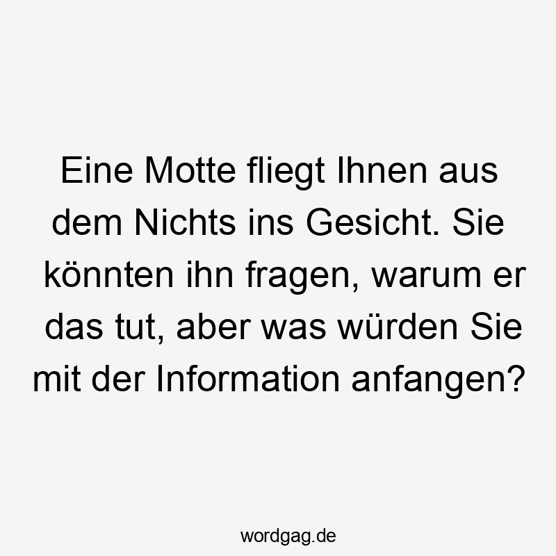 Eine Motte fliegt Ihnen aus dem Nichts ins Gesicht. Sie könnten ihn fragen, warum er das tut, aber was würden Sie mit der Information anfangen?