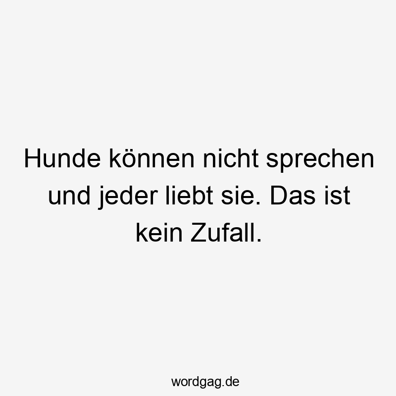 Hunde können nicht sprechen und jeder liebt sie. Das ist kein Zufall.