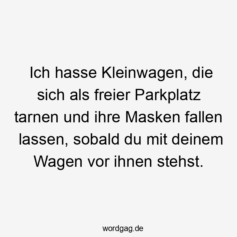 Lustige Kleinwagen Sprüche - Ich hasse Kleinwagen, die sich als freier Parkplatz tarnen und ihre Masken fallen lassen, sobald du mit deinem Wagen vor ihnen stehst.