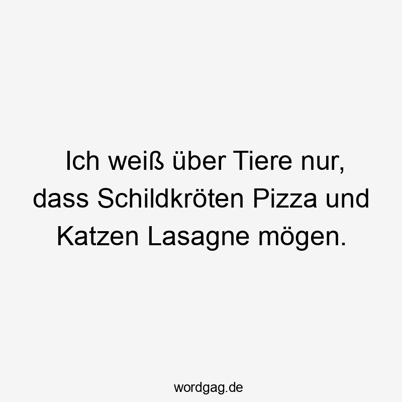 Ich weiß über Tiere nur, dass Schildkröten Pizza und Katzen Lasagne mögen.