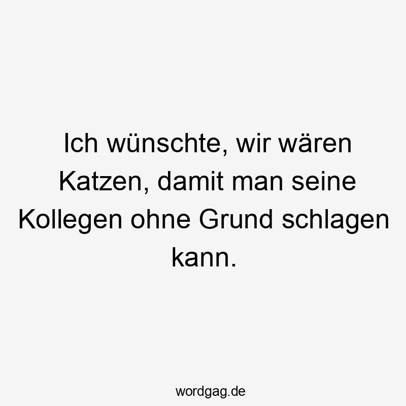 Ich wünschte, wir wären Katzen, damit man seine Kollegen ohne Grund schlagen kann.