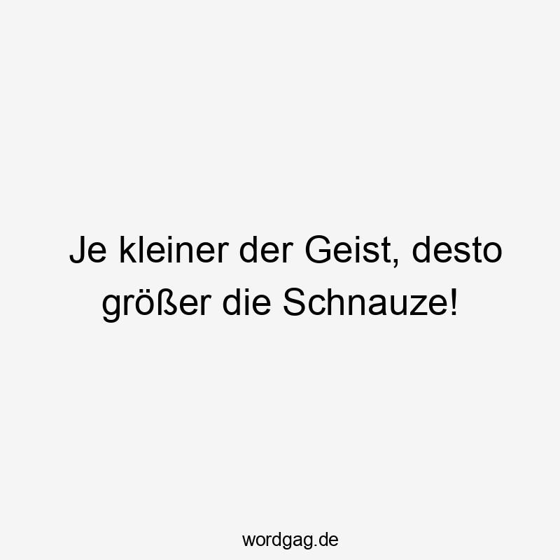 Je kleiner der Geist, desto größer die Schnauze!