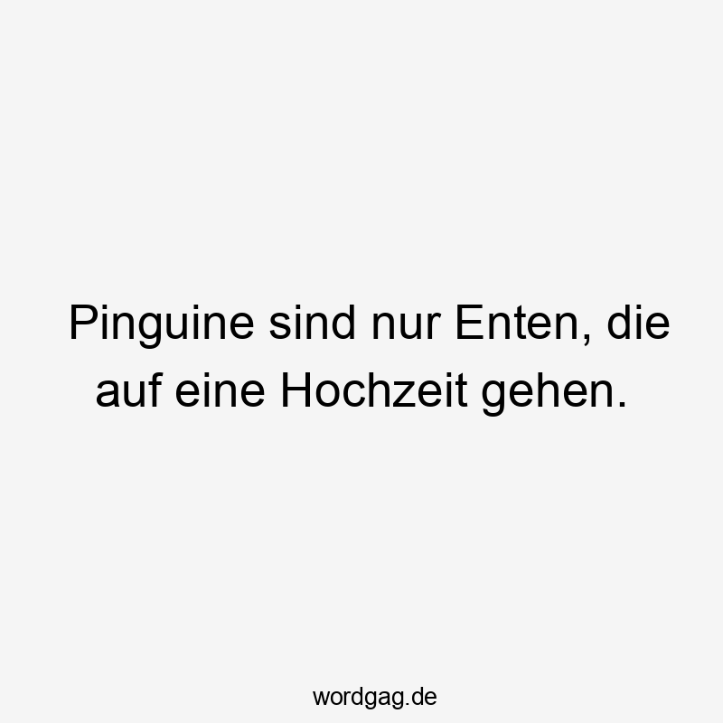 Pinguine sind nur Enten, die auf eine Hochzeit gehen.