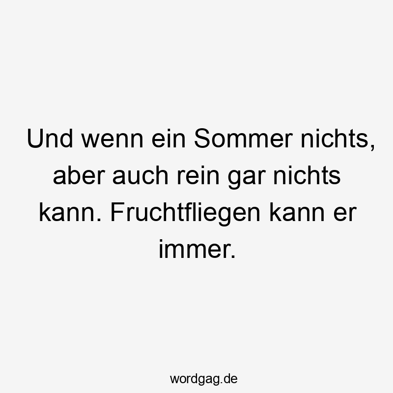 Und wenn ein Sommer nichts, aber auch rein gar nichts kann. Fruchtfliegen kann er immer.