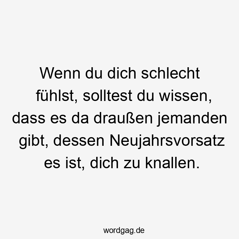 Lustige Sprüche: Neujahrsvorsatz - Wenn du dich schlecht fühlst, solltest du wissen, dass es da draußen jemanden gibt, dessen Neujahrsvorsatz es ist, dich zu knallen.