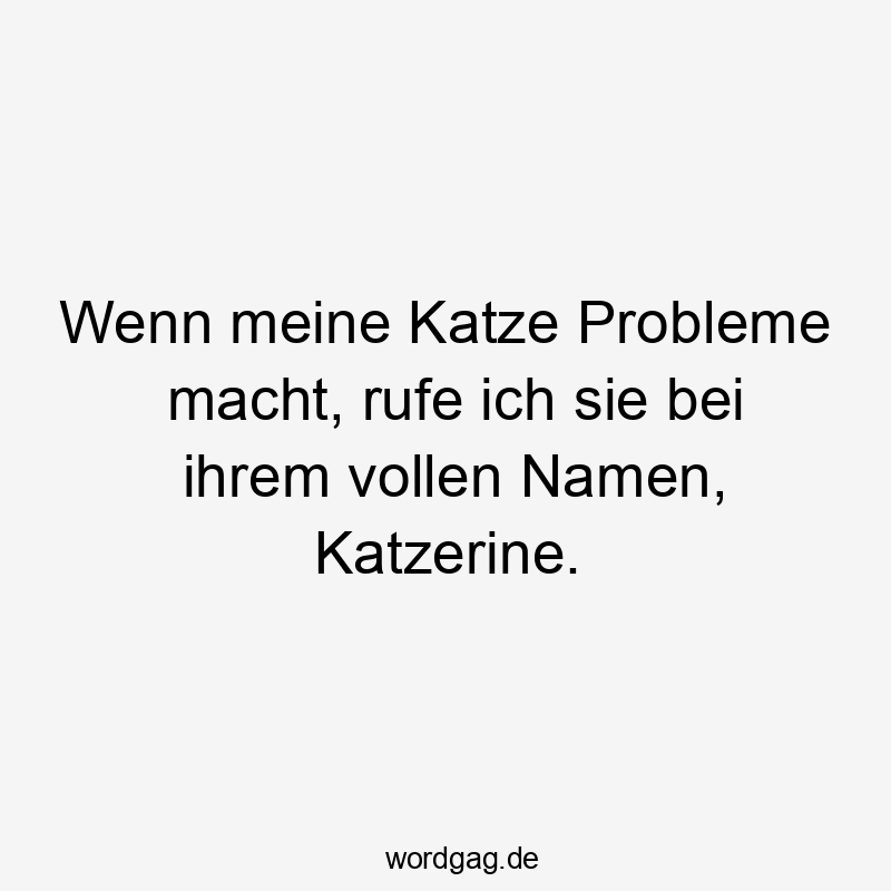 Wenn meine Katze Probleme macht, rufe ich sie bei ihrem vollen Namen, Katzerine.