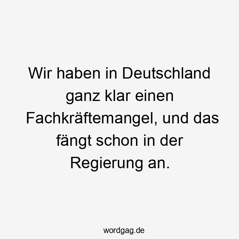 Wir haben in Deutschland ganz klar einen Fachkräftemangel, und das fängt schon in der Regierung an.
