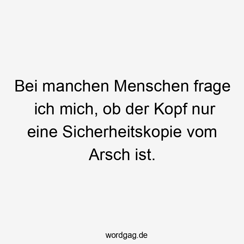 Bei manchen Menschen frage ich mich, ob der Kopf nur eine Sicherheitskopie vom Arsch ist.