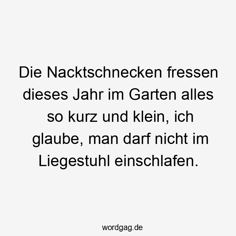 Lustige Sprüche: Pflanzen - Die Nacktschnecken fressen dieses Jahr im Garten alles so kurz und klein, ich glaube, man darf nicht im Liegestuhl einschlafen.