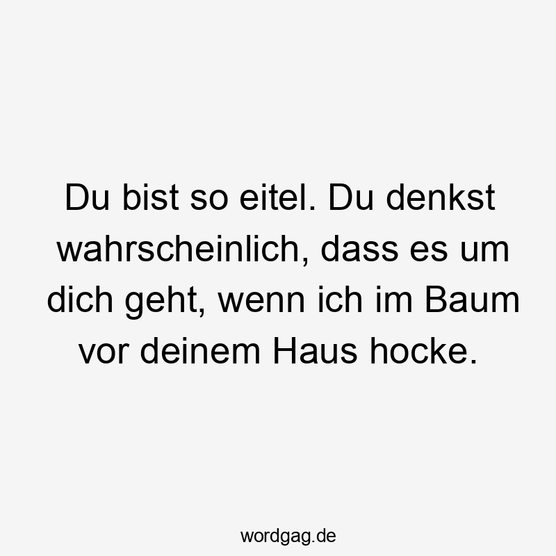 Du bist so eitel. Du denkst wahrscheinlich, dass es um dich geht, wenn ich im Baum vor deinem Haus hocke.