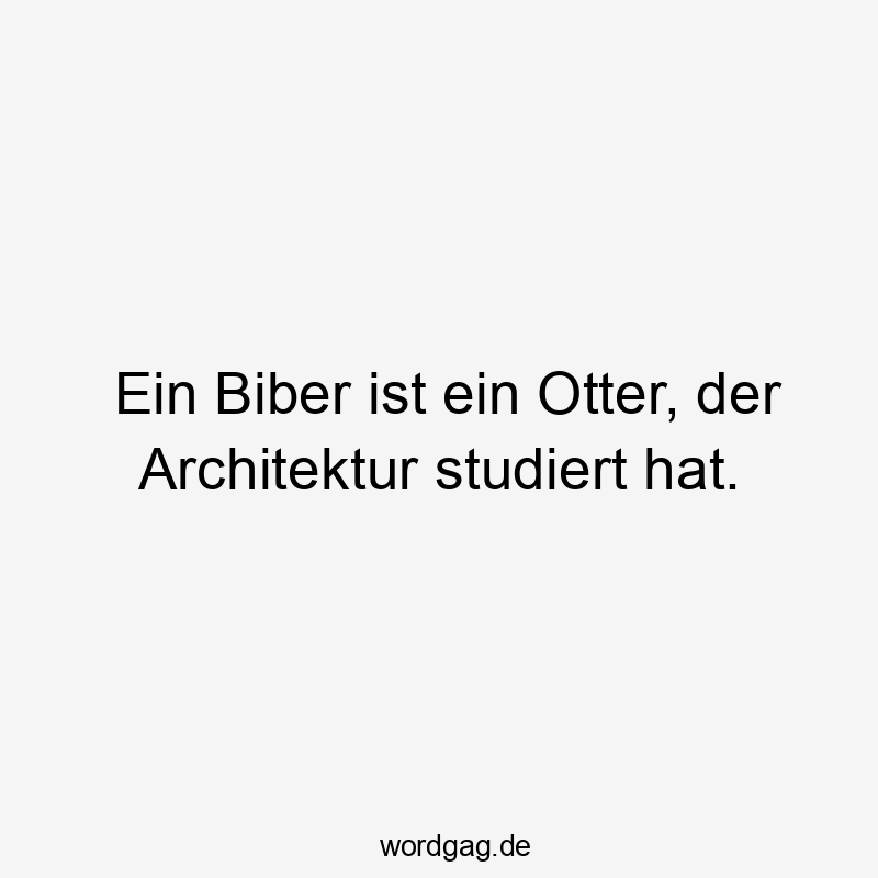 Ein Biber ist ein Otter, der Architektur studiert hat.