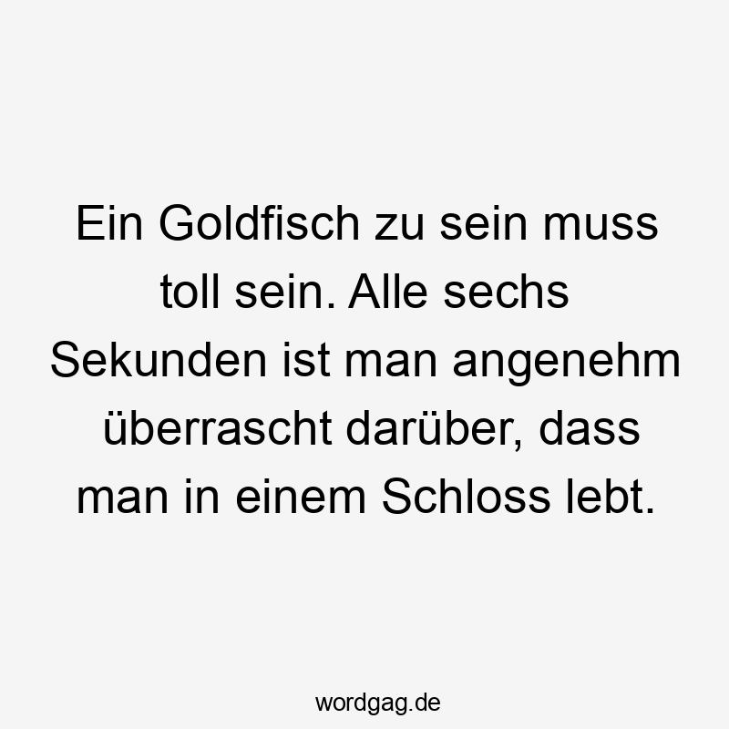 Ein Goldfisch zu sein muss toll sein. Alle sechs Sekunden ist man angenehm überrascht darüber, dass man in einem Schloss lebt.