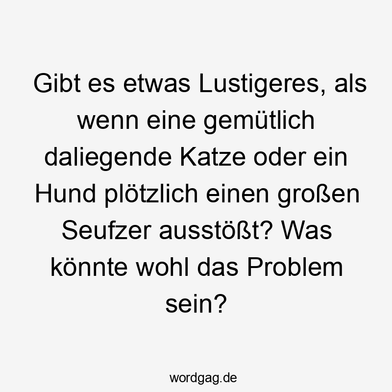 Lustige Sprüche: Seufzer - Gibt es etwas Lustigeres, als wenn eine gemütlich daliegende Katze oder ein Hund plötzlich einen großen Seufzer ausstößt? Was könnte wohl das Problem sein?
