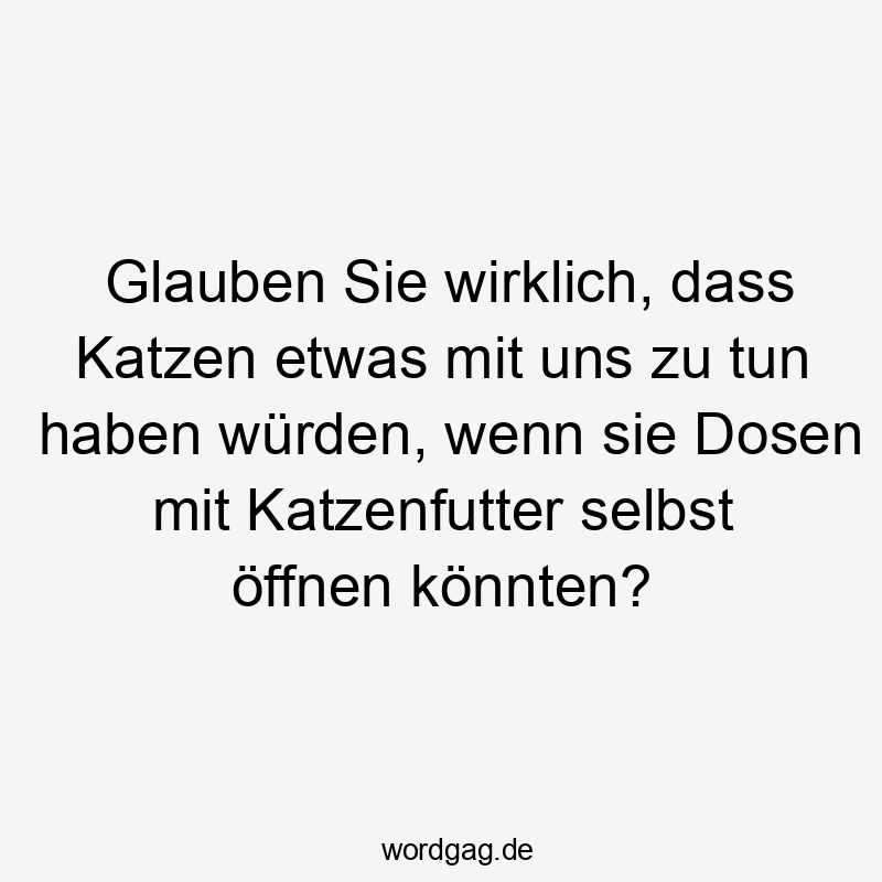 Glauben Sie wirklich, dass Katzen etwas mit uns zu tun haben würden, wenn sie Dosen mit Katzenfutter selbst öffnen könnten?