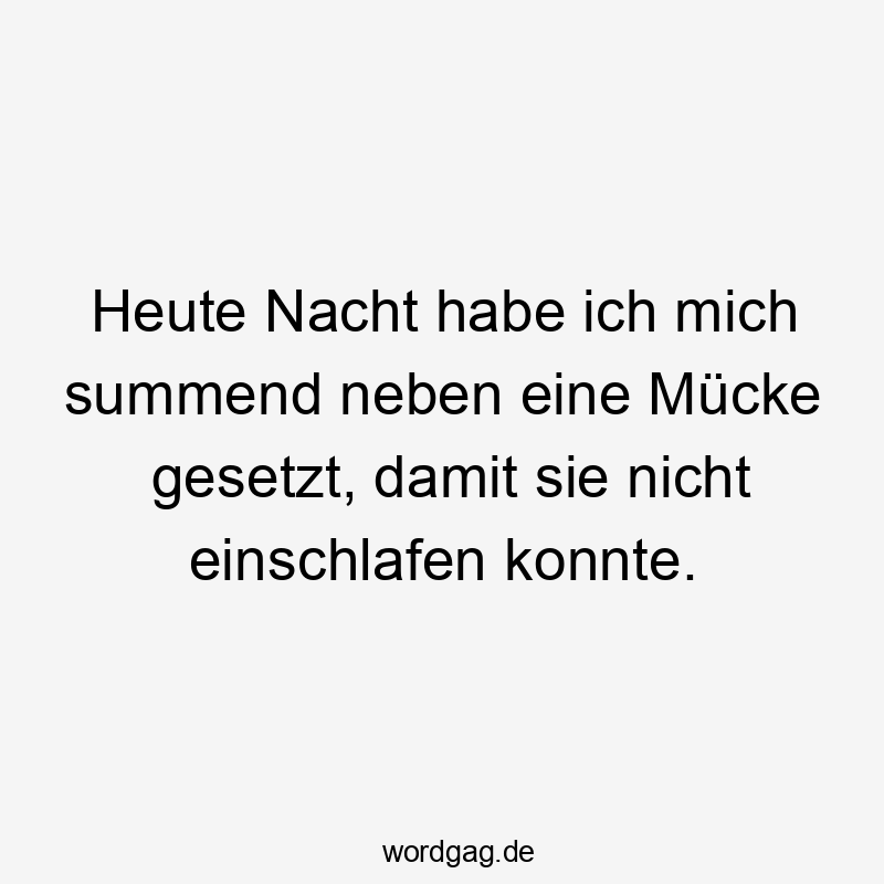Heute Nacht habe ich mich summend neben eine Mücke gesetzt, damit sie nicht einschlafen konnte.