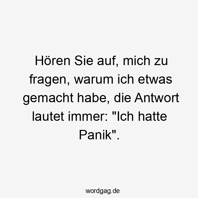 Lustige Sprüche: Fragen - Hören Sie auf, mich zu fragen, warum ich etwas gemacht habe, die Antwort lautet immer: „Ich hatte Panik“.