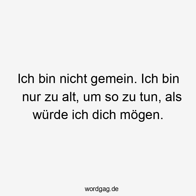 Ich bin nicht gemein. Ich bin nur zu alt, um so zu tun, als würde ich dich mögen.