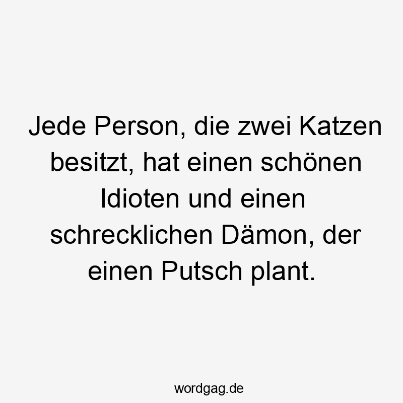 Lustige Sprüche: Putsch - Jede Person, die zwei Katzen besitzt, hat einen schönen Idioten und einen schrecklichen Dämon, der einen Putsch plant.