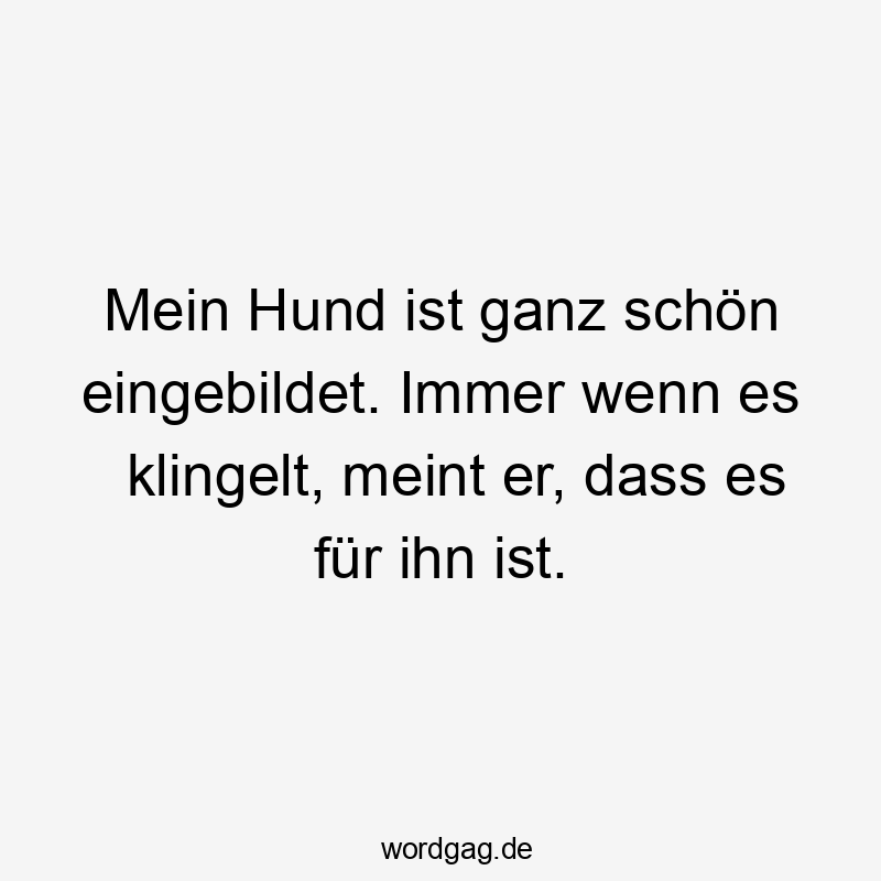 Mein Hund ist ganz schön eingebildet. Immer wenn es klingelt, meint er, dass es für ihn ist.
