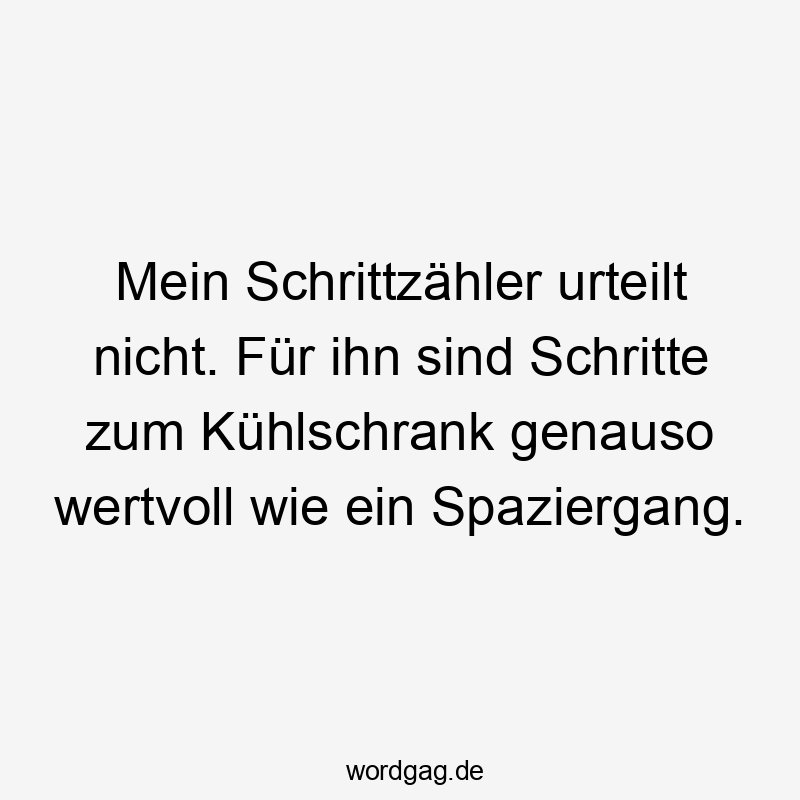 Mein Schrittzähler urteilt nicht. Für ihn sind Schritte zum Kühlschrank genauso wertvoll wie ein Spaziergang.