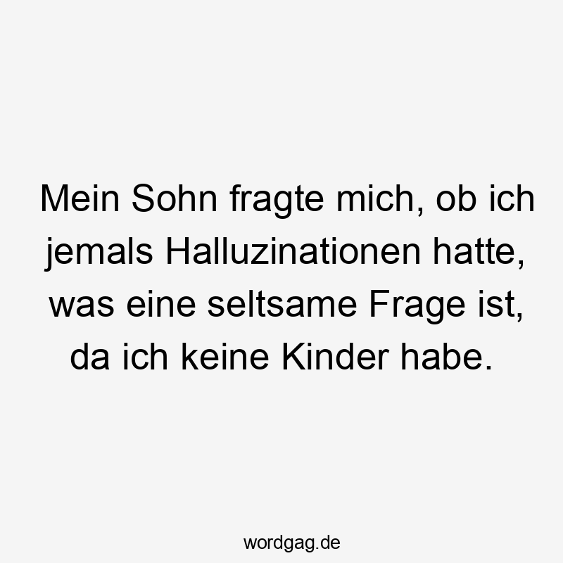 Lustige keine Kinder Sprüche - Mein Sohn fragte mich, ob ich jemals Halluzinationen hatte, was eine seltsame Frage ist, da ich keine Kinder habe.