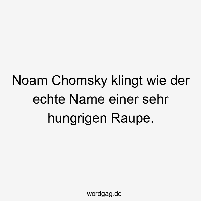 Noam Chomsky klingt wie der echte Name einer sehr hungrigen Raupe.