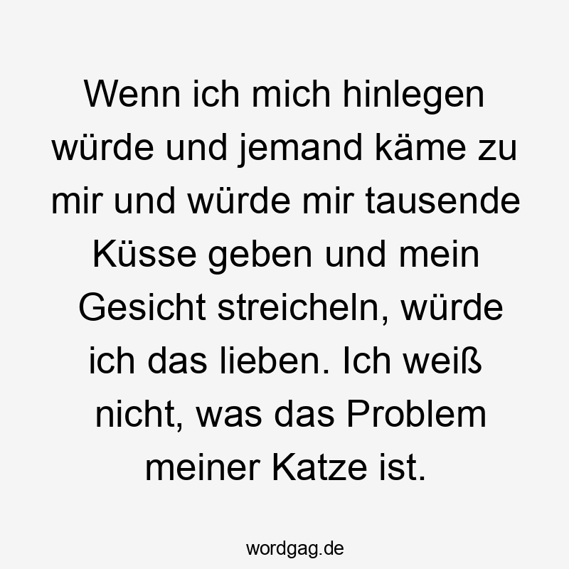 Wenn ich mich hinlegen würde und jemand käme zu mir und würde mir tausende Küsse geben und mein Gesicht streicheln, würde ich das lieben. Ich weiß nicht, was das Problem meiner Katze ist.