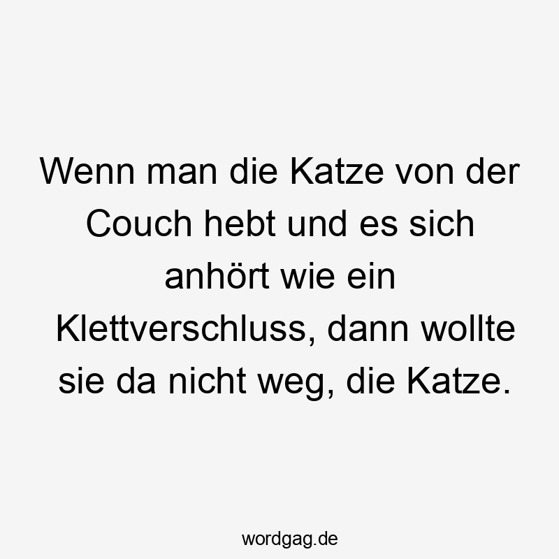 Wenn man die Katze von der Couch hebt und es sich anhört wie ein Klettverschluss, dann wollte sie da nicht weg, die Katze.