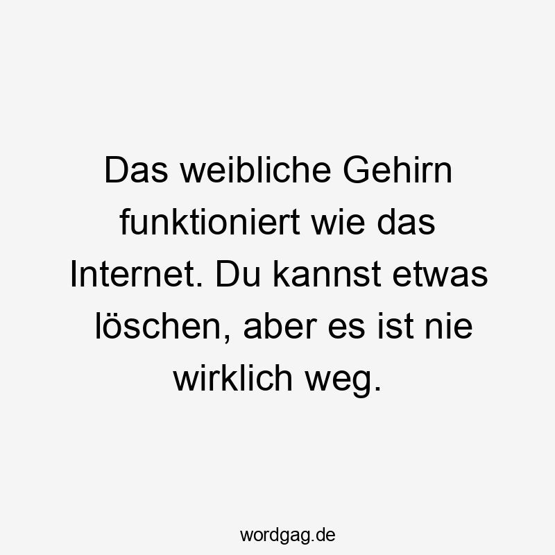 Das weibliche Gehirn funktioniert wie das Internet. Du kannst etwas löschen, aber es ist nie wirklich weg.