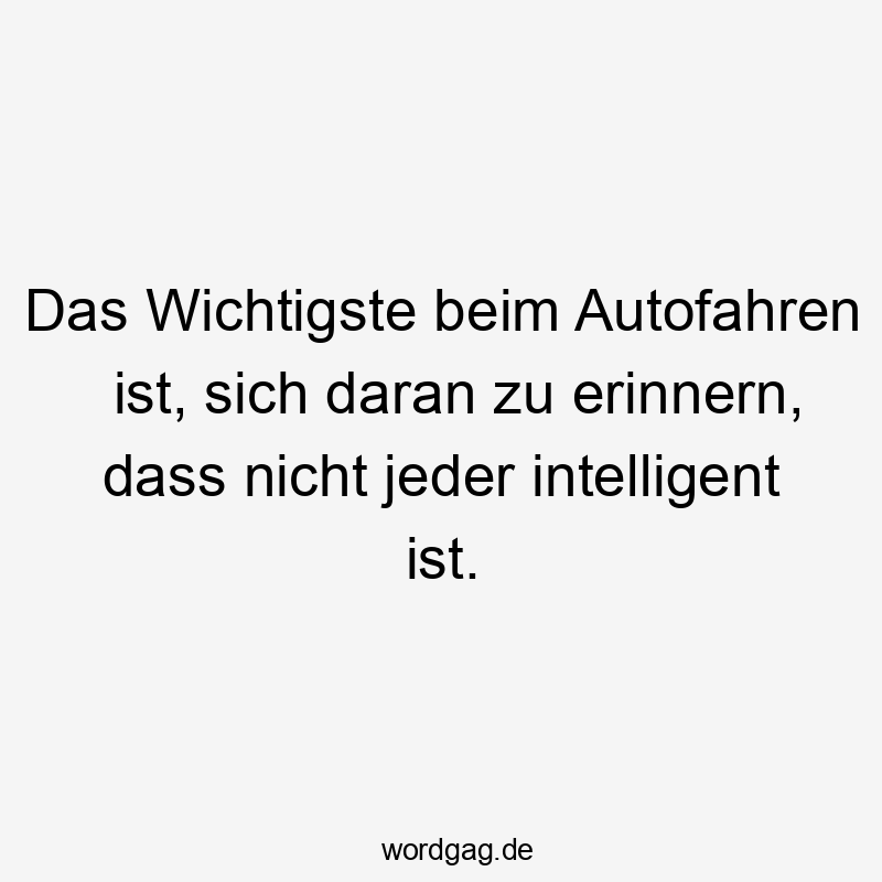 Das Wichtigste beim Autofahren ist, sich daran zu erinnern, dass nicht jeder intelligent ist.