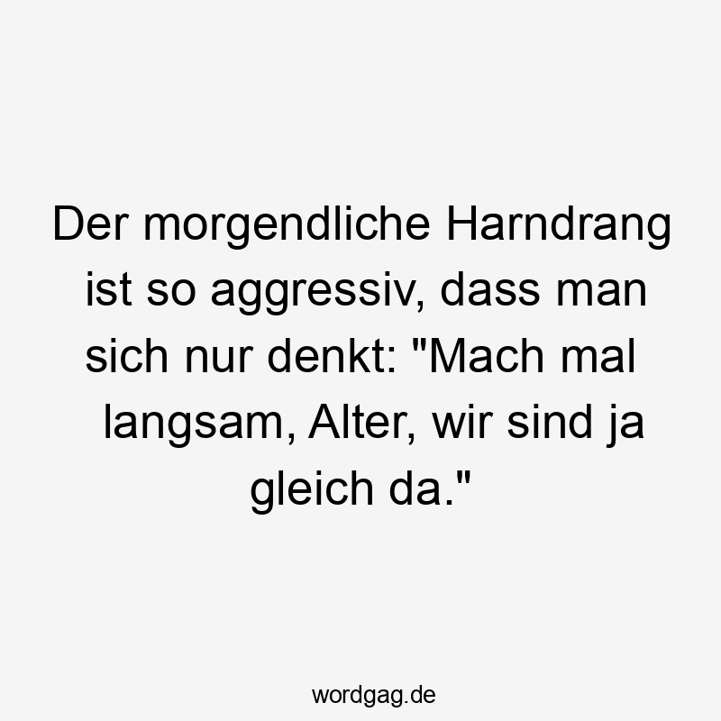 Lustige Sprüche: Gleich - Der morgendliche Harndrang ist so aggressiv, dass man sich nur denkt: „Mach mal langsam, Alter, wir sind ja gleich da.“