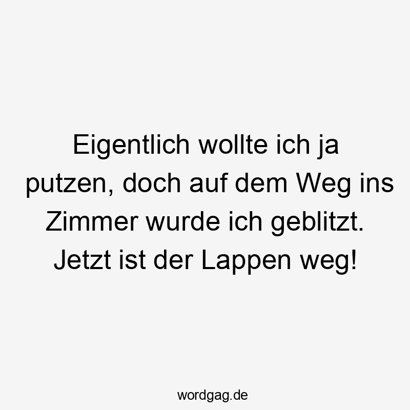 Eigentlich wollte ich ja putzen, doch auf dem Weg ins Zimmer wurde ich geblitzt. Jetzt ist der Lappen weg!