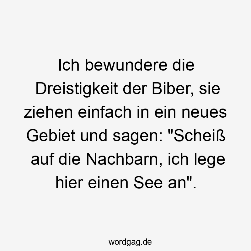 Lustige Sprüche: Natur - Ich bewundere die Dreistigkeit der Biber, sie ziehen einfach in ein neues Gebiet und sagen: „Scheiß auf die Nachbarn, ich lege hier einen See an“.