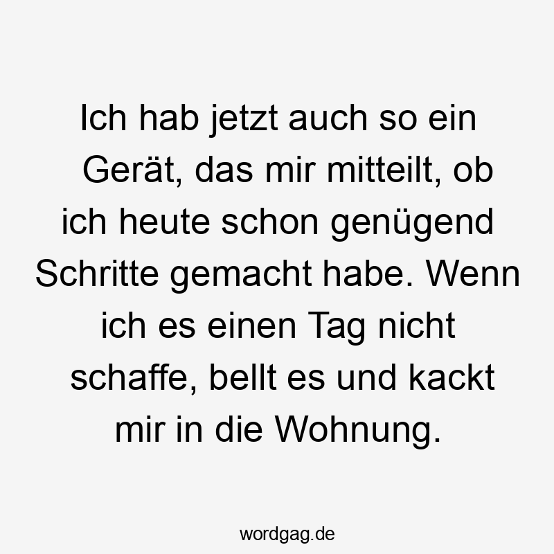 Ich hab jetzt auch so ein Gerät, das mir mitteilt, ob ich heute schon genügend Schritte gemacht habe. Wenn ich es einen Tag nicht schaffe, bellt es und kackt mir in die Wohnung.