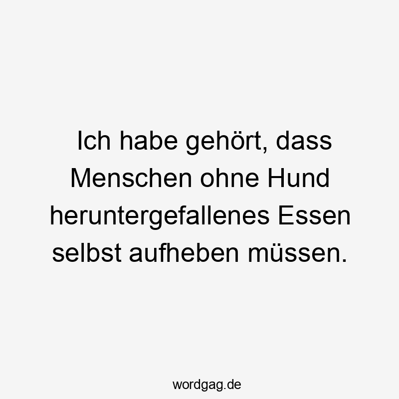 Ich habe gehört, dass Menschen ohne Hund heruntergefallenes Essen selbst aufheben müssen.