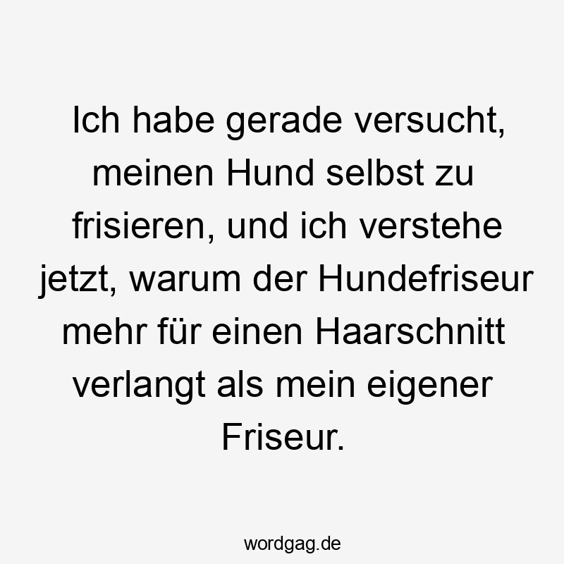 Lustige Haarschnitt Sprüche - Ich habe gerade versucht, meinen Hund selbst zu frisieren, und ich verstehe jetzt, warum der Hundefriseur mehr für einen Haarschnitt verlangt als mein eigener Friseur.