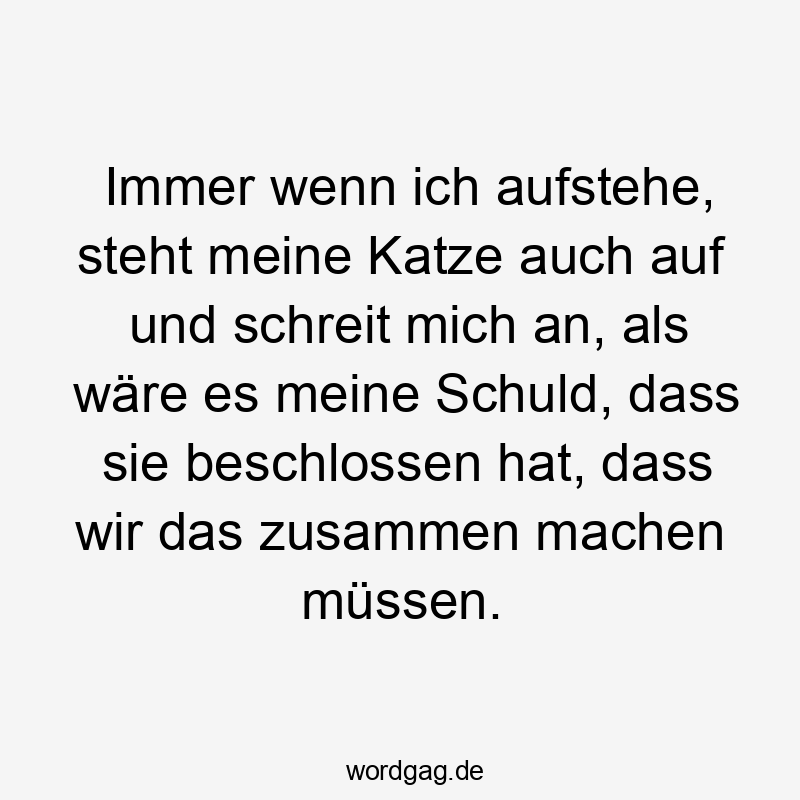 Immer wenn ich aufstehe, steht meine Katze auch auf und schreit mich an, als wäre es meine Schuld, dass sie beschlossen hat, dass wir das zusammen machen müssen.