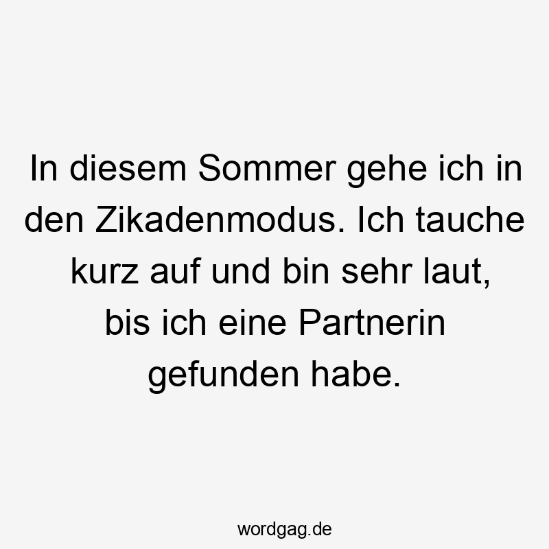 In diesem Sommer gehe ich in den Zikadenmodus. Ich tauche kurz auf und bin sehr laut, bis ich eine Partnerin gefunden habe.