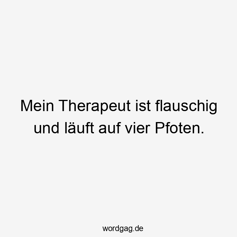 Mein Therapeut ist flauschig und läuft auf vier Pfoten.