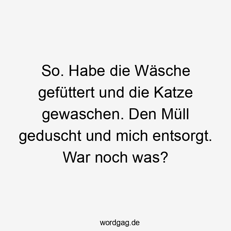 So. Habe die Wäsche gefüttert und die Katze gewaschen. Den Müll geduscht und mich entsorgt. War noch was?