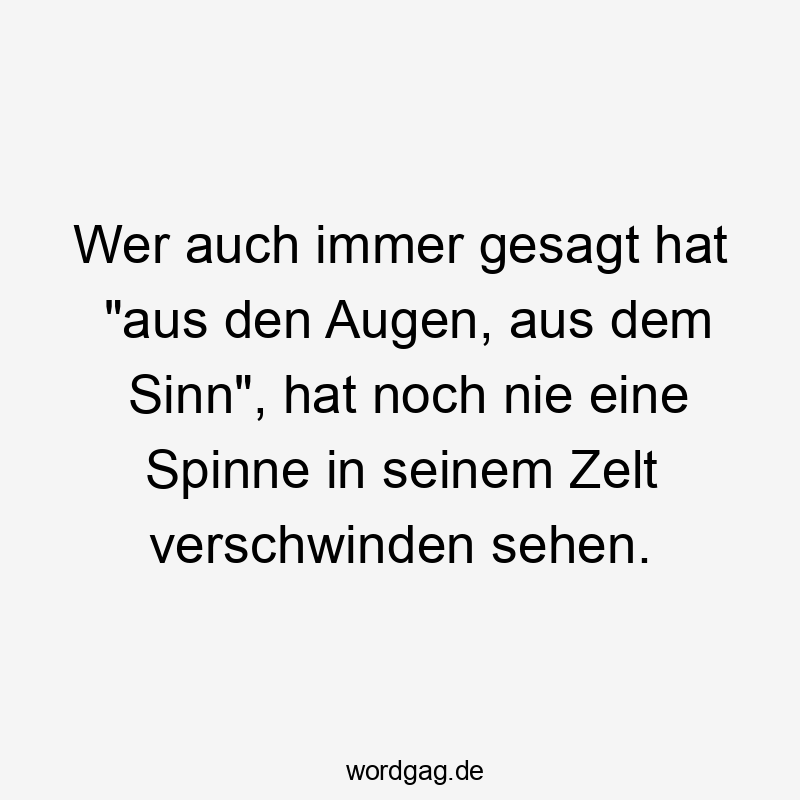 13 Lustige Camping Sprüche - Wer auch immer gesagt hat „aus den Augen, aus dem Sinn“, hat noch nie eine Spinne in seinem Zelt verschwinden sehen.