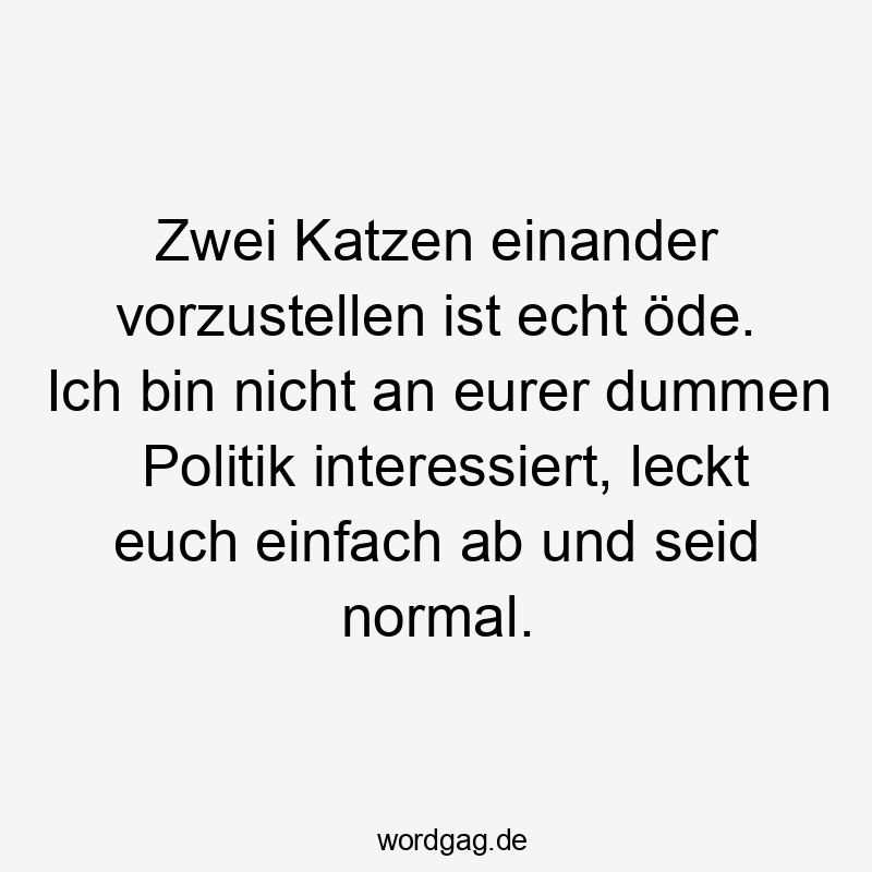 Zwei Katzen einander vorzustellen ist echt öde. Ich bin nicht an eurer dummen Politik interessiert, leckt euch einfach ab und seid normal.