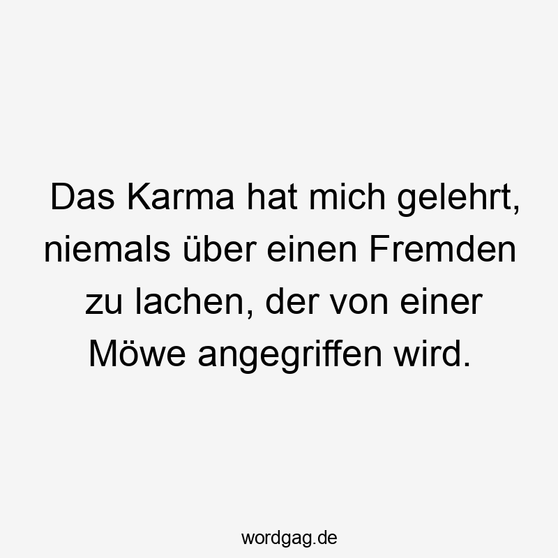 Das Karma hat mich gelehrt, niemals über einen Fremden zu lachen, der von einer Möwe angegriffen wird.