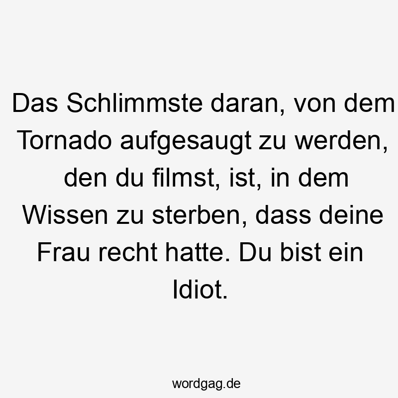 Das Schlimmste daran, von dem Tornado aufgesaugt zu werden, den du filmst, ist, in dem Wissen zu sterben, dass deine Frau recht hatte. Du bist ein Idiot.