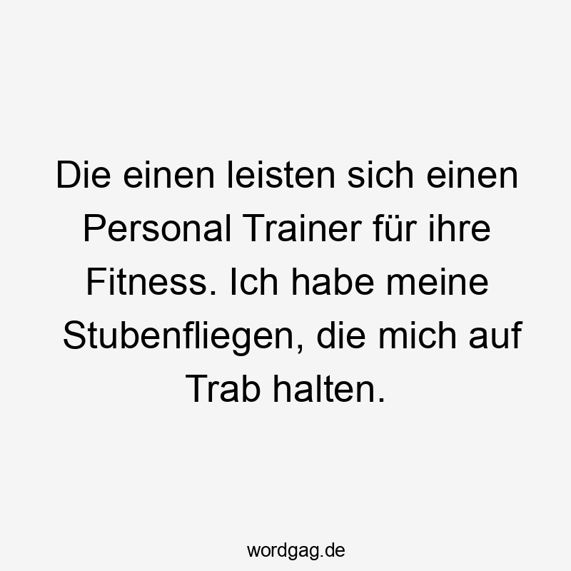 Die einen leisten sich einen Personal Trainer für ihre Fitness. Ich habe meine Stubenfliegen, die mich auf Trab halten.