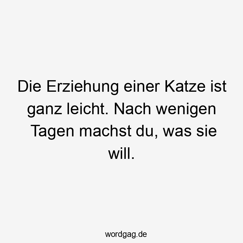 Die Erziehung einer Katze ist ganz leicht. Nach wenigen Tagen machst du, was sie will.